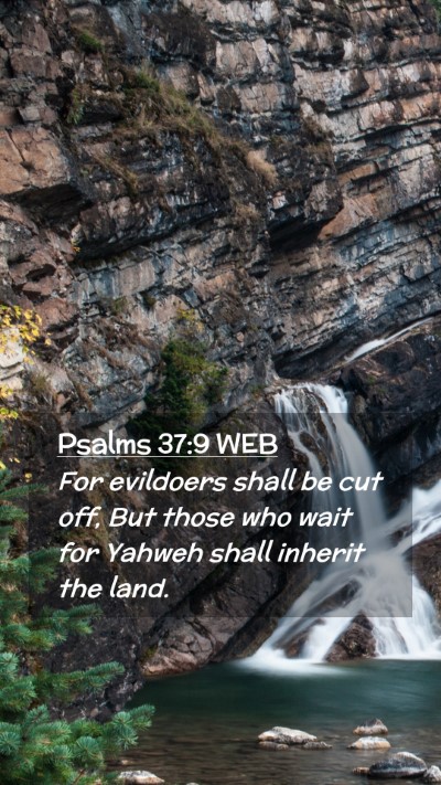 Picture 02 - Psalms 37:9 WEB Mobile Phone Wallpaper - For evildoers shall be cut off, But those who - Mobile Bible Verse Wallpaper