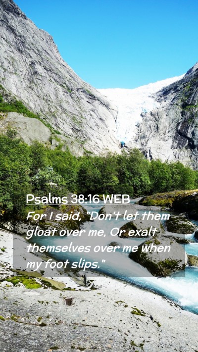 Picture 02 - Psalms 38:16 WEB Mobile Phone Wallpaper - For I said, 