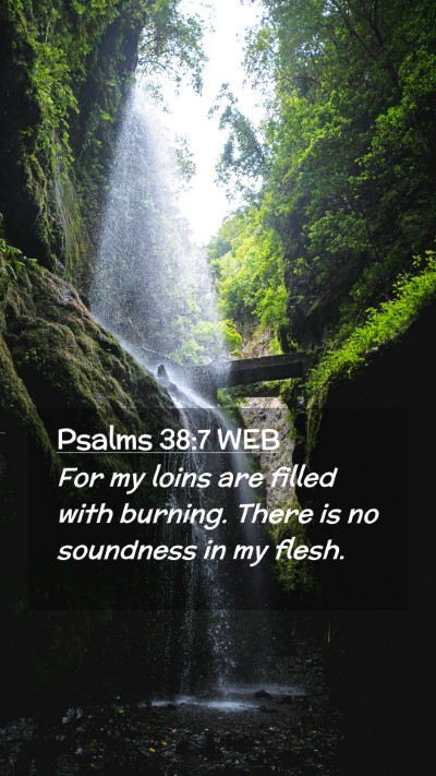 Picture 02 - Psalms 38:7 WEB Mobile Phone Wallpaper - For my loins are filled with burning. There is no - Mobile Bible Verse Wallpaper