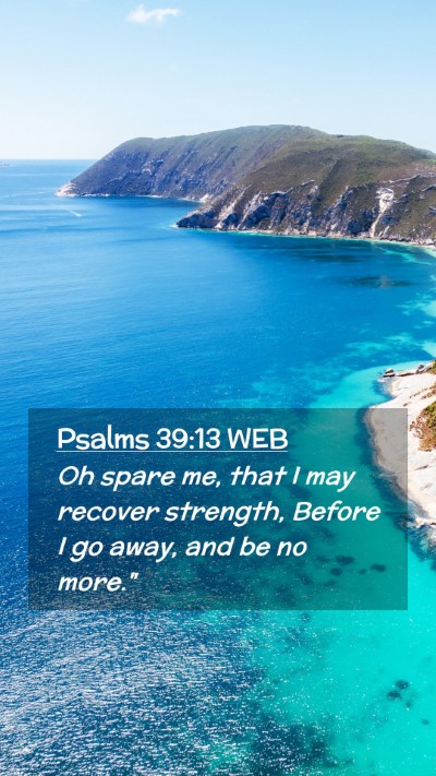 Picture 02 - Psalms 39:13 WEB Mobile Phone Wallpaper - Oh spare me, that I may recover strength, Before - Mobile Bible Verse Wallpaper