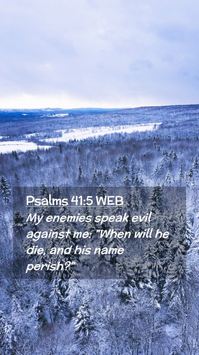 Picture 02 - Psalms 41:5 WEB Mobile Phone Wallpaper - My enemies speak evil against me: 