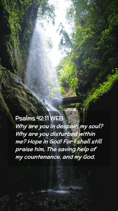 Picture 02 - Psalms 42:11 WEB Mobile Phone Wallpaper - Why are you in despair, my soul? Why are you - Mobile Bible Verse Wallpaper