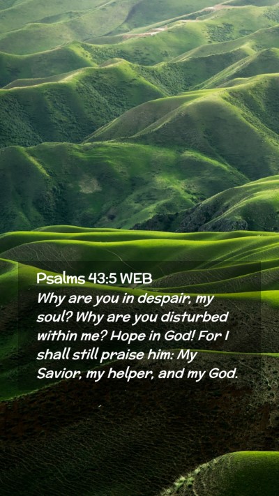 Picture 02 - Psalms 43:5 WEB Mobile Phone Wallpaper - Why are you in despair, my soul? Why are you - Mobile Bible Verse Wallpaper
