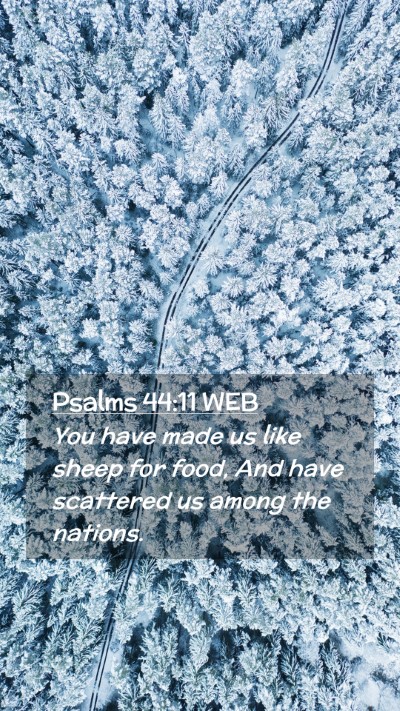 Picture 02 - Psalms 44:11 WEB Mobile Phone Wallpaper - You have made us like sheep for food, And have - Mobile Bible Verse Wallpaper