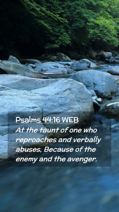 Picture 02 - Psalms 44:16 WEB Mobile Phone Wallpaper - At the taunt of one who reproaches and verbally - Mobile Bible Verse Wallpaper