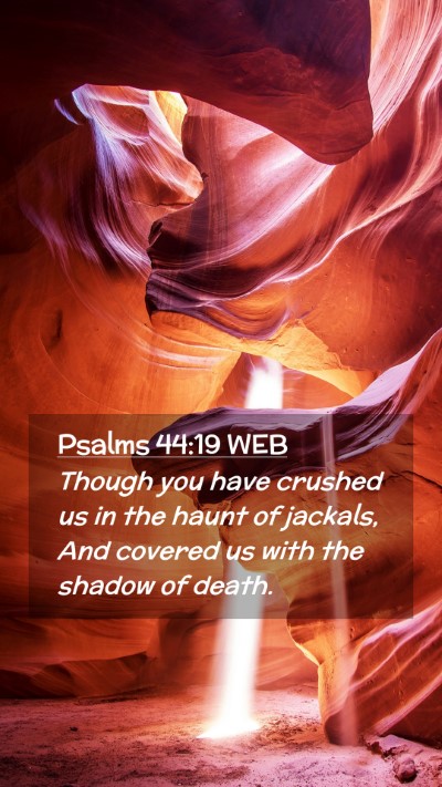 Picture 02 - Psalms 44:19 WEB Mobile Phone Wallpaper - Though you have crushed us in the haunt of - Mobile Bible Verse Wallpaper