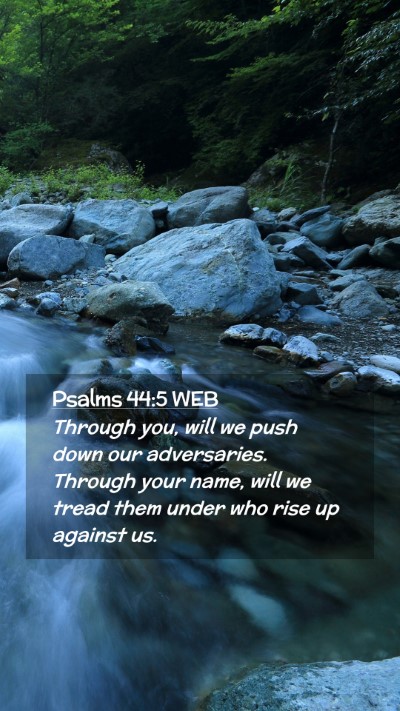 Picture 02 - Psalms 44:5 WEB Mobile Phone Wallpaper - Through you, will we push down our adversaries. - Mobile Bible Verse Wallpaper