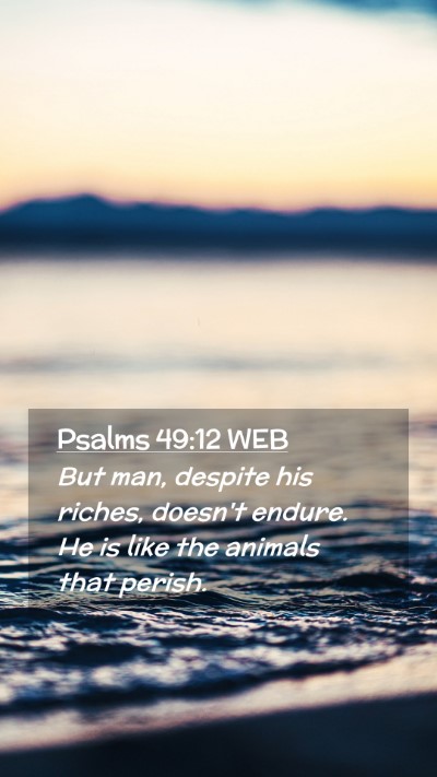 Picture 02 - Psalms 49:12 WEB Mobile Phone Wallpaper - But man, despite his riches, doesn't endure. He - Mobile Bible Verse Wallpaper