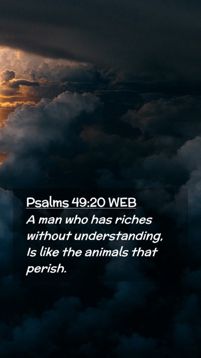 Picture 02 - Psalms 49:20 WEB Mobile Phone Wallpaper - A man who has riches without understanding, Is - Mobile Bible Verse Wallpaper