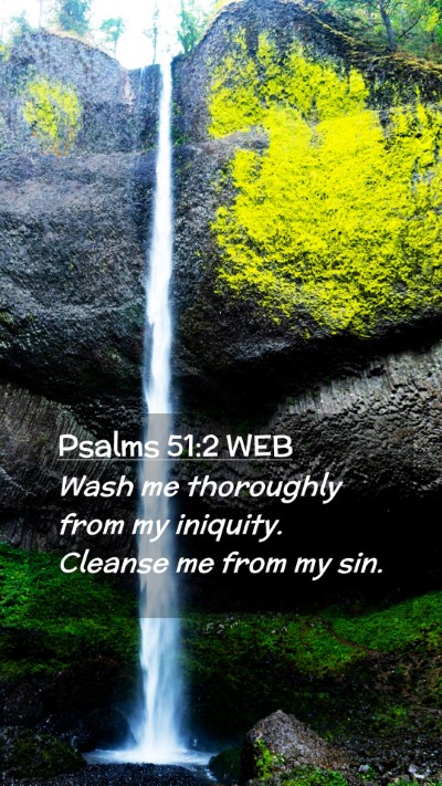 Picture 02 - Psalms 51:2 WEB Mobile Phone Wallpaper - Wash me thoroughly from my iniquity. Cleanse me - Mobile Bible Verse Wallpaper