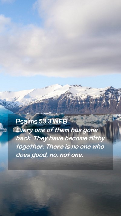 Picture 02 - Psalms 53:3 WEB Mobile Phone Wallpaper - Every one of them has gone back. They have become - Mobile Bible Verse Wallpaper