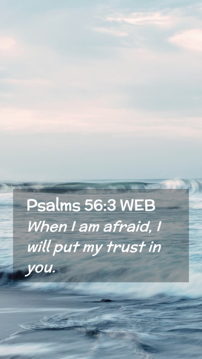Picture 02 - Psalms 56:3 WEB Mobile Phone Wallpaper - When I am afraid, I will put my trust in - Mobile Bible Verse Wallpaper