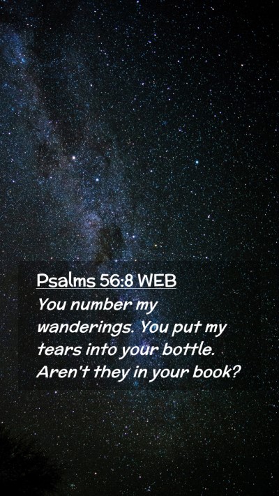 Picture 02 - Psalms 56:8 WEB Mobile Phone Wallpaper - You number my wanderings. You put my tears into - Mobile Bible Verse Wallpaper