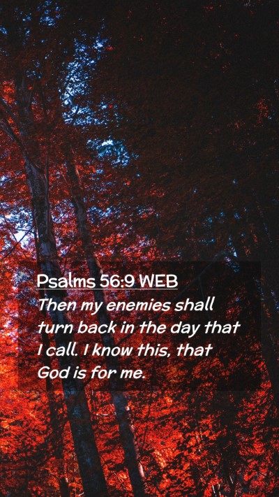 Picture 02 - Psalms 56:9 WEB Mobile Phone Wallpaper - Then my enemies shall turn back in the day that I - Mobile Bible Verse Wallpaper