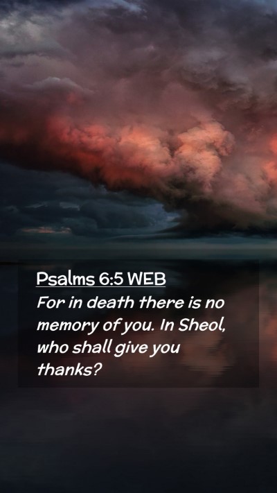 Picture 02 - Psalms 6:5 WEB Mobile Phone Wallpaper - For in death there is no memory of you. In Sheol, - Mobile Bible Verse Wallpaper