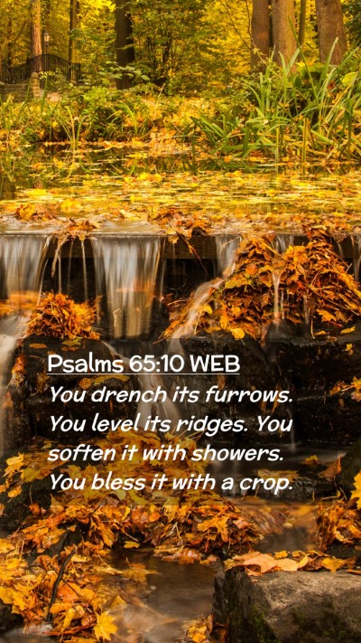 Picture 02 - Psalms 65:10 WEB Mobile Phone Wallpaper - You drench its furrows. You level its ridges. You - Mobile Bible Verse Wallpaper