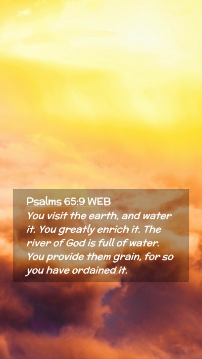 Picture 02 - Psalms 65:9 WEB Mobile Phone Wallpaper - You visit the earth, and water it. You greatly - Mobile Bible Verse Wallpaper