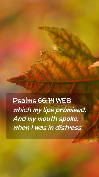 Picture 02 - Psalms 66:14 WEB Mobile Phone Wallpaper - which my lips promised, And my mouth spoke, when - Mobile Bible Verse Wallpaper