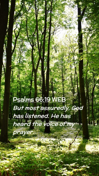 Picture 02 - Psalms 66:19 WEB Mobile Phone Wallpaper - But most assuredly, God has listened. He has - Mobile Bible Verse Wallpaper