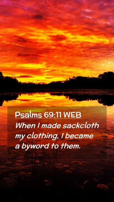Picture 02 - Psalms 69:11 WEB Mobile Phone Wallpaper - When I made sackcloth my clothing, I became a - Mobile Bible Verse Wallpaper