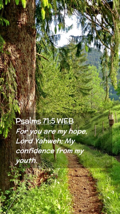 Picture 02 - Psalms 71:5 WEB Mobile Phone Wallpaper - For you are my hope, Lord Yahweh; My confidence - Mobile Bible Verse Wallpaper