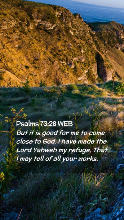 Picture 02 - Psalms 73:28 WEB Mobile Phone Wallpaper - But it is good for me to come close to God. I - Mobile Bible Verse Wallpaper