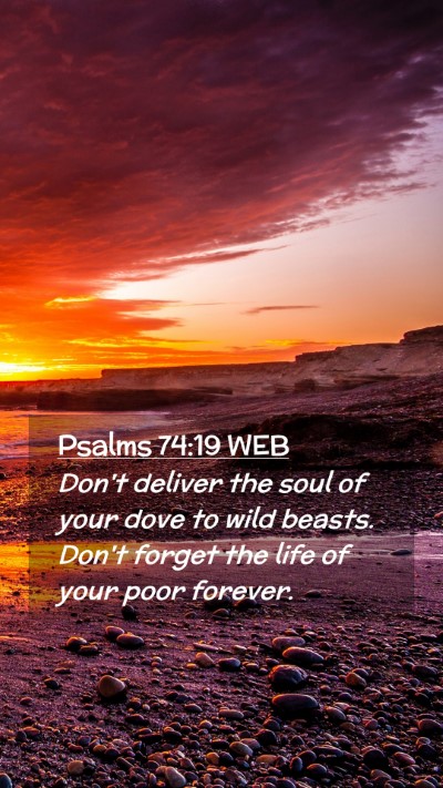 Picture 02 - Psalms 74:19 WEB Mobile Phone Wallpaper - Don't deliver the soul of your dove to wild - Mobile Bible Verse Wallpaper