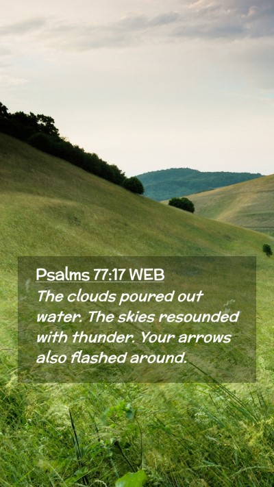 Picture 02 - Psalms 77:17 WEB Mobile Phone Wallpaper - The clouds poured out water. The skies resounded - Mobile Bible Verse Wallpaper