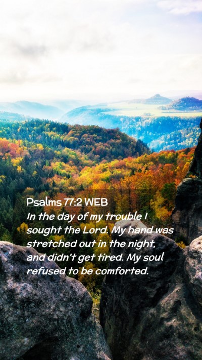 Picture 02 - Psalms 77:2 WEB Mobile Phone Wallpaper - In the day of my trouble I sought the Lord. My - Mobile Bible Verse Wallpaper