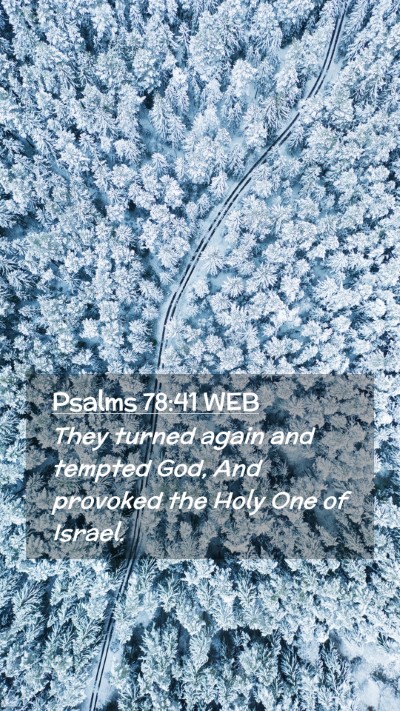 Picture 02 - Psalms 78:41 WEB Mobile Phone Wallpaper - They turned again and tempted God, And provoked - Mobile Bible Verse Wallpaper
