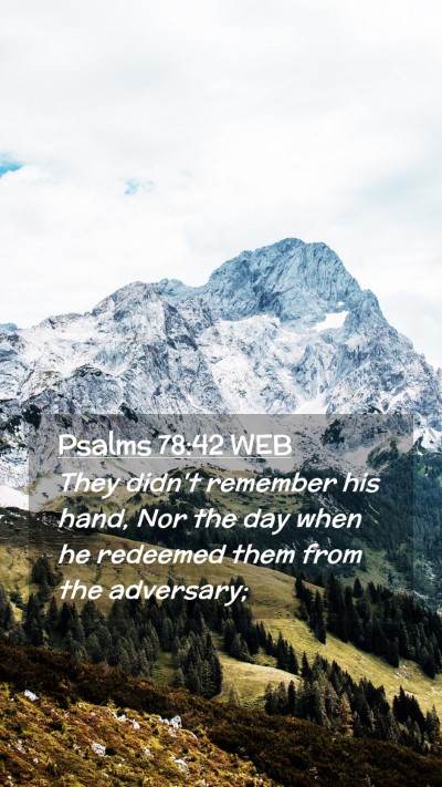 Picture 02 - Psalms 78:42 WEB Mobile Phone Wallpaper - They didn't remember his hand, Nor the day when - Mobile Bible Verse Wallpaper