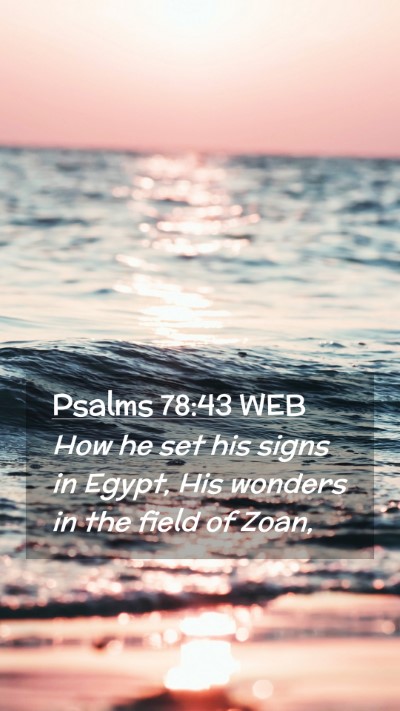 Picture 02 - Psalms 78:43 WEB Mobile Phone Wallpaper - How he set his signs in Egypt, His wonders in the - Mobile Bible Verse Wallpaper
