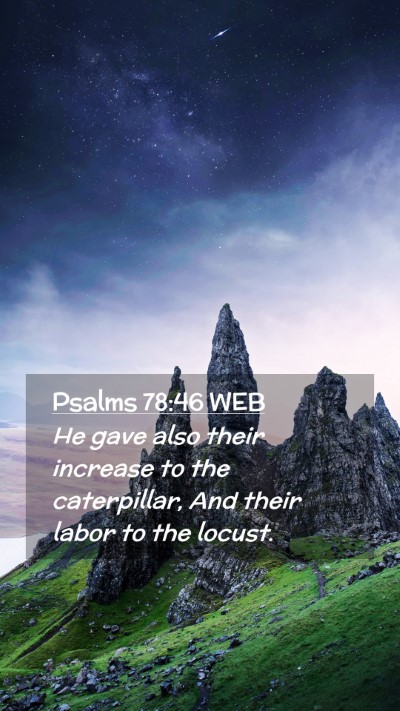 Picture 02 - Psalms 78:46 WEB Mobile Phone Wallpaper - He gave also their increase to the caterpillar, - Mobile Bible Verse Wallpaper
