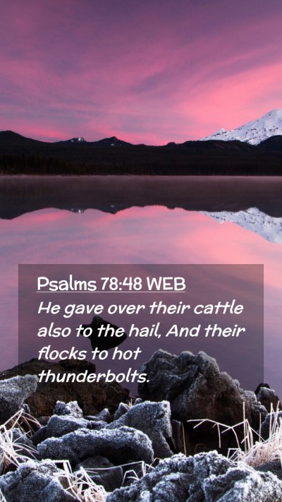 Picture 02 - Psalms 78:48 WEB Mobile Phone Wallpaper - He gave over their cattle also to the hail, And - Mobile Bible Verse Wallpaper