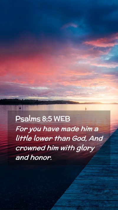 Picture 02 - Psalms 8:5 WEB Mobile Phone Wallpaper - For you have made him a little lower than God, - Mobile Bible Verse Wallpaper
