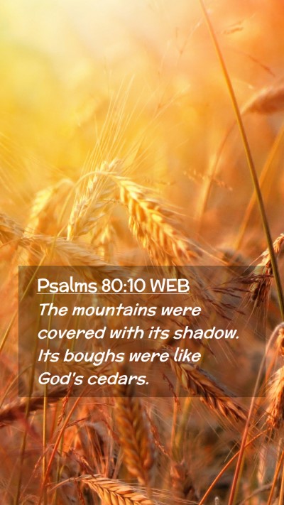 Picture 02 - Psalms 80:10 WEB Mobile Phone Wallpaper - The mountains were covered with its shadow. Its - Mobile Bible Verse Wallpaper