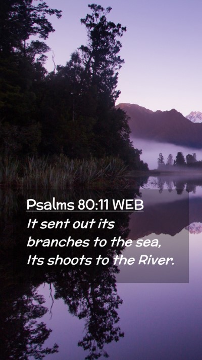 Picture 02 - Psalms 80:11 WEB Mobile Phone Wallpaper - It sent out its branches to the sea, Its shoots - Mobile Bible Verse Wallpaper