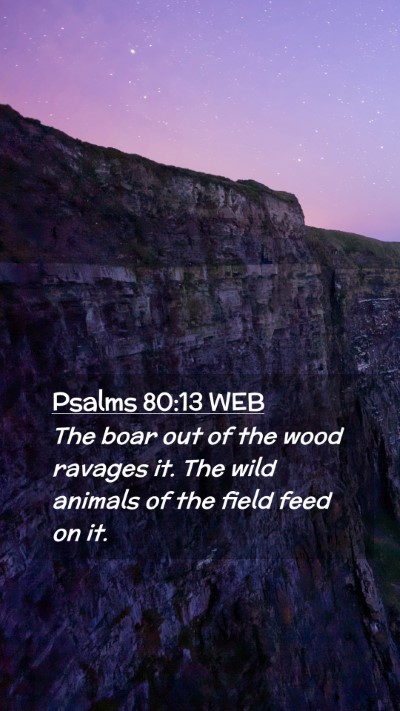 Picture 02 - Psalms 80:13 WEB Mobile Phone Wallpaper - The boar out of the wood ravages it. The wild - Mobile Bible Verse Wallpaper