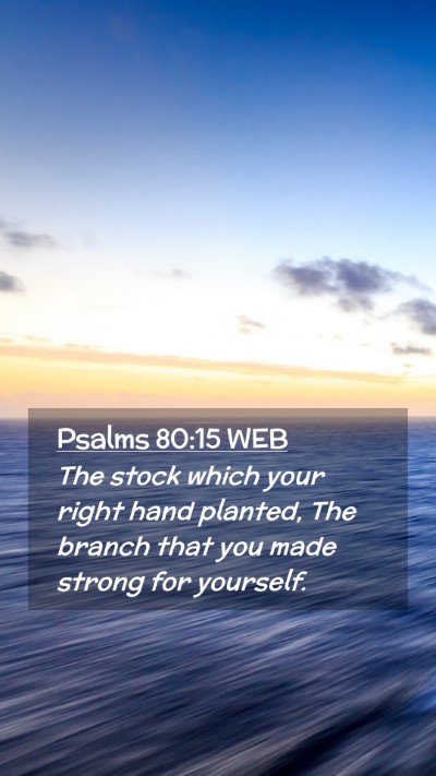 Picture 02 - Psalms 80:15 WEB Mobile Phone Wallpaper - The stock which your right hand planted, The - Mobile Bible Verse Wallpaper