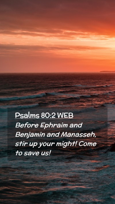 Picture 02 - Psalms 80:2 WEB Mobile Phone Wallpaper - Before Ephraim and Benjamin and Manasseh, stir up - Mobile Bible Verse Wallpaper