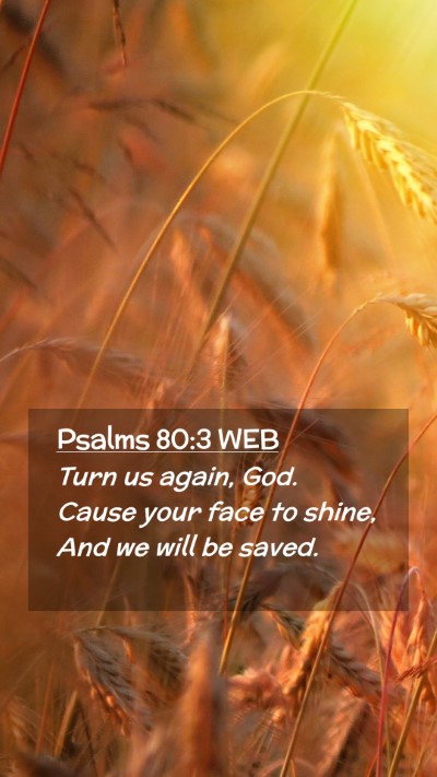 Picture 02 - Psalms 80:3 WEB Mobile Phone Wallpaper - Turn us again, God. Cause your face to shine, And - Mobile Bible Verse Wallpaper