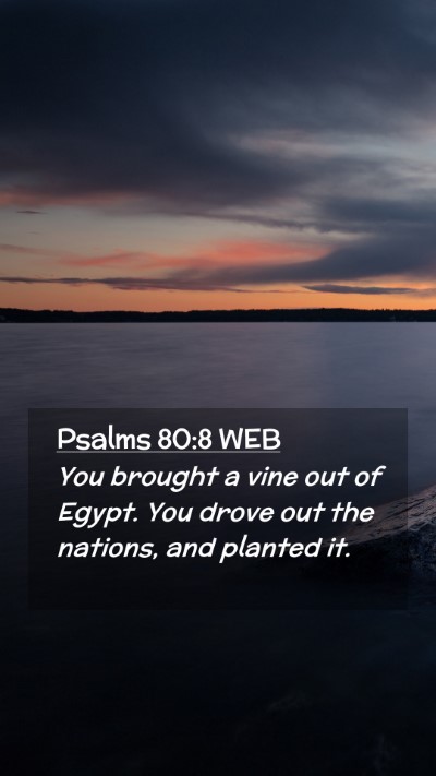Picture 02 - Psalms 80:8 WEB Mobile Phone Wallpaper - You brought a vine out of Egypt. You drove out - Mobile Bible Verse Wallpaper