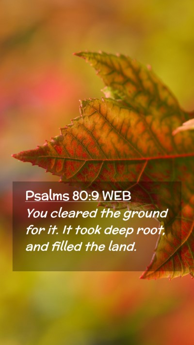 Picture 02 - Psalms 80:9 WEB Mobile Phone Wallpaper - You cleared the ground for it. It took deep root, - Mobile Bible Verse Wallpaper