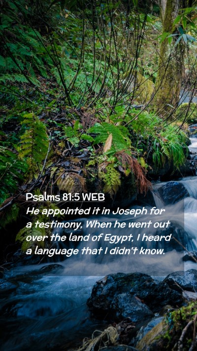 Picture 02 - Psalms 81:5 WEB Mobile Phone Wallpaper - He appointed it in Joseph for a testimony, When - Mobile Bible Verse Wallpaper