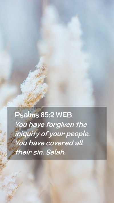 Picture 02 - Psalms 85:2 WEB Mobile Phone Wallpaper - You have forgiven the iniquity of your people. - Mobile Bible Verse Wallpaper