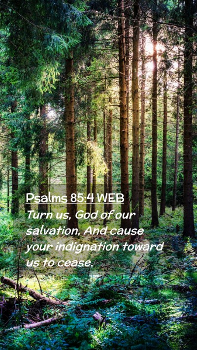 Picture 02 - Psalms 85:4 WEB Mobile Phone Wallpaper - Turn us, God of our salvation, And cause your - Mobile Bible Verse Wallpaper