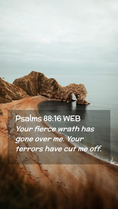 Picture 02 - Psalms 88:16 WEB Mobile Phone Wallpaper - Your fierce wrath has gone over me. Your terrors - Mobile Bible Verse Wallpaper
