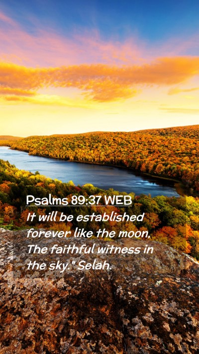 Picture 02 - Psalms 89:37 WEB Mobile Phone Wallpaper - It will be established forever like the moon, The - Mobile Bible Verse Wallpaper