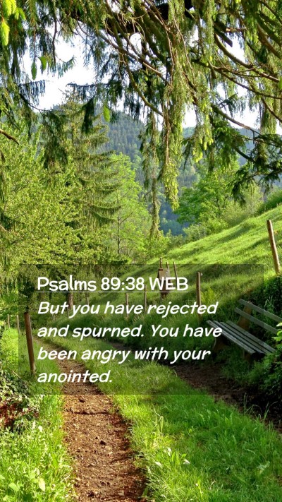 Picture 02 - Psalms 89:38 WEB Mobile Phone Wallpaper - But you have rejected and spurned. You have been - Mobile Bible Verse Wallpaper