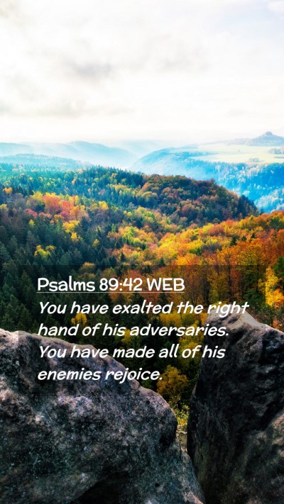 Picture 02 - Psalms 89:42 WEB Mobile Phone Wallpaper - You have exalted the right hand of his - Mobile Bible Verse Wallpaper